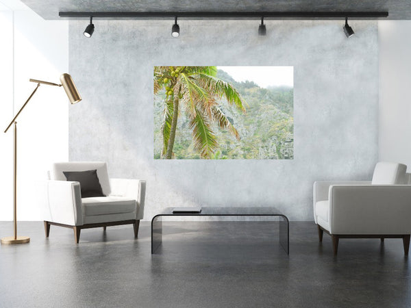 Coconut Tree Photography Print
