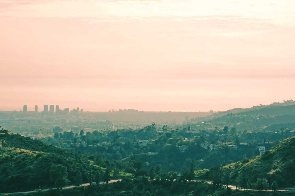 Los Angeles Skyline Photography Print | Limited Edition