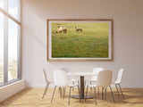 Sheep in the Meadow Photography Print